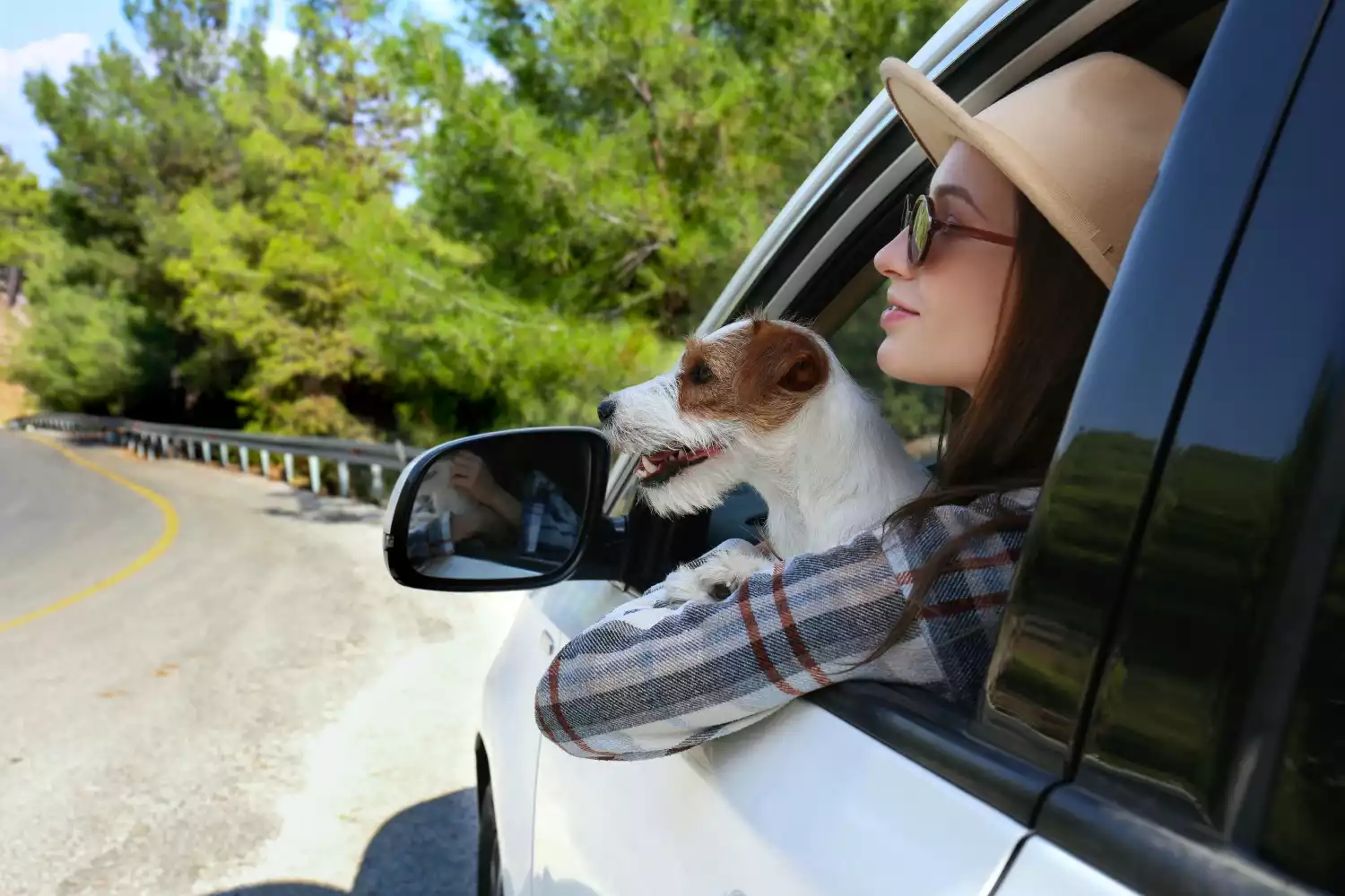 Lexus NX Dog Carrier Car Seat for Wire Fox Terrier