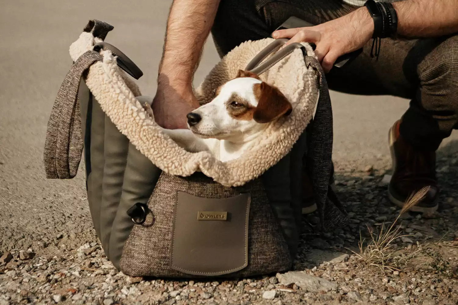 Silky Terrier Dog Carrier Car Seat for BMW 3 Series