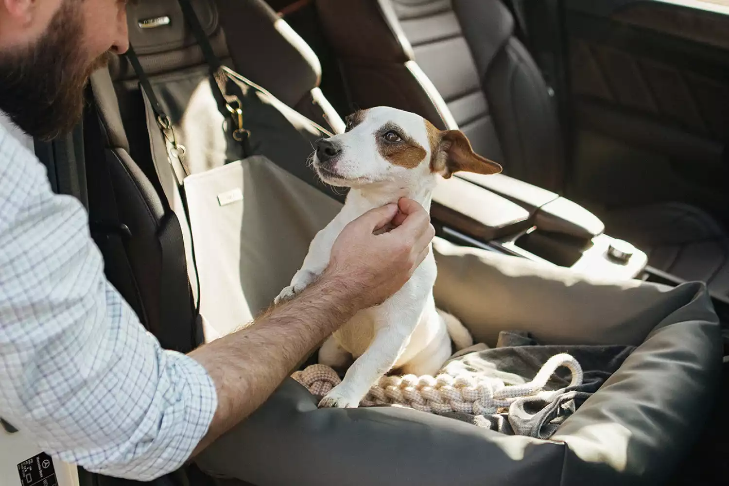 Subaru Outback Dog Car Seat for Rat Terriers