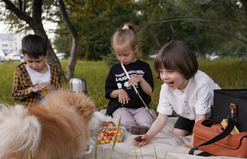 picnic blanket with bag